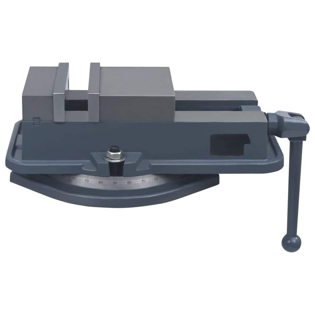 Vidaxl Vize - Drehbares 160 mm Gusseisen
