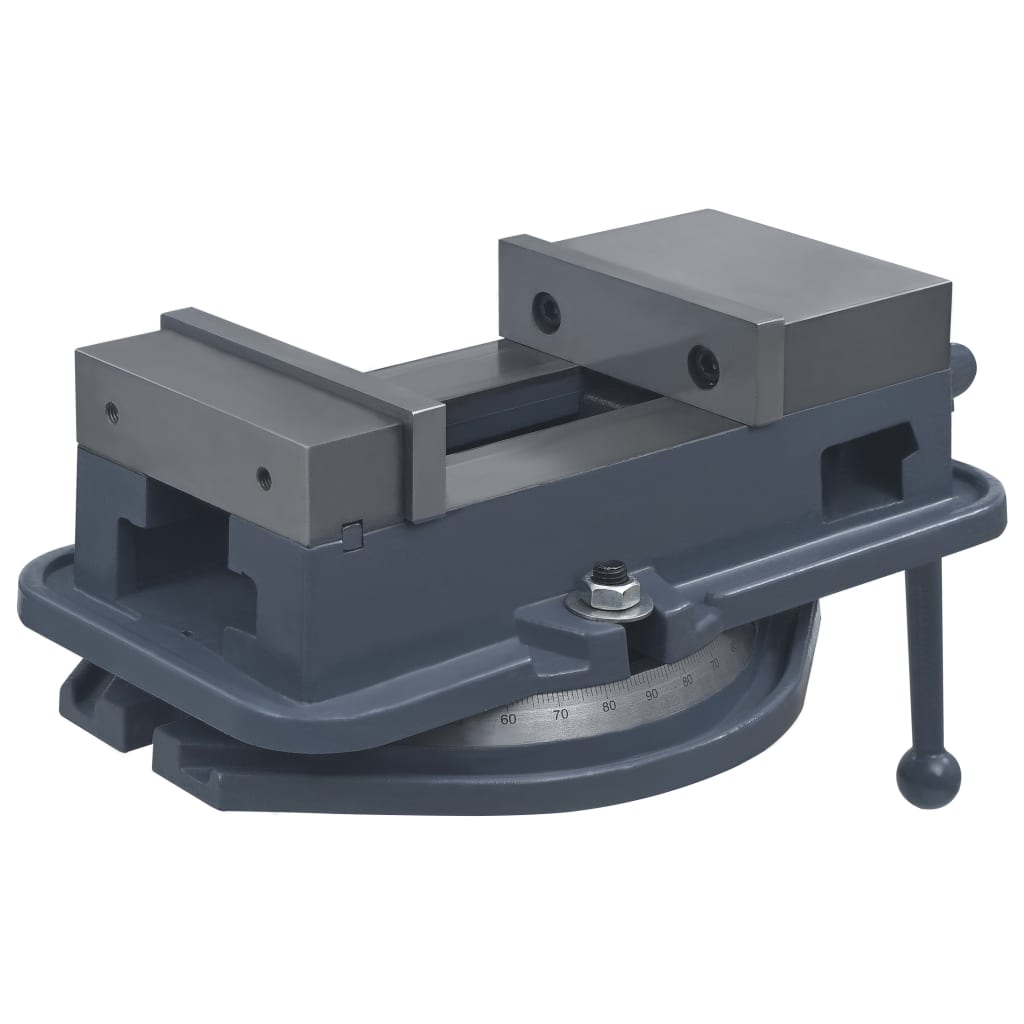 Vidaxl Vize - Drehbares 160 mm Gusseisen