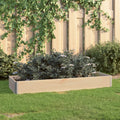 VIDAXL -Planzer erhöht 50x150 cm Festkiefer