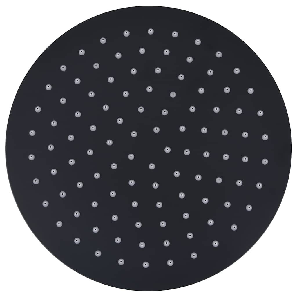 VidaXL Regenduschkopf rund 25 cm Edelstahl schwarz
