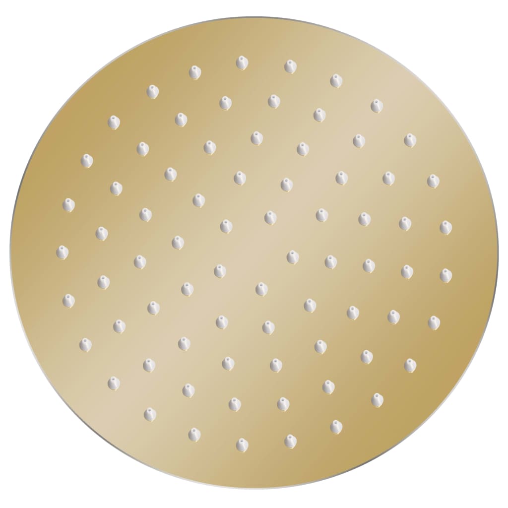 VidaXL Regenduschkopf rund 20 cm Edelstahl goldfarben