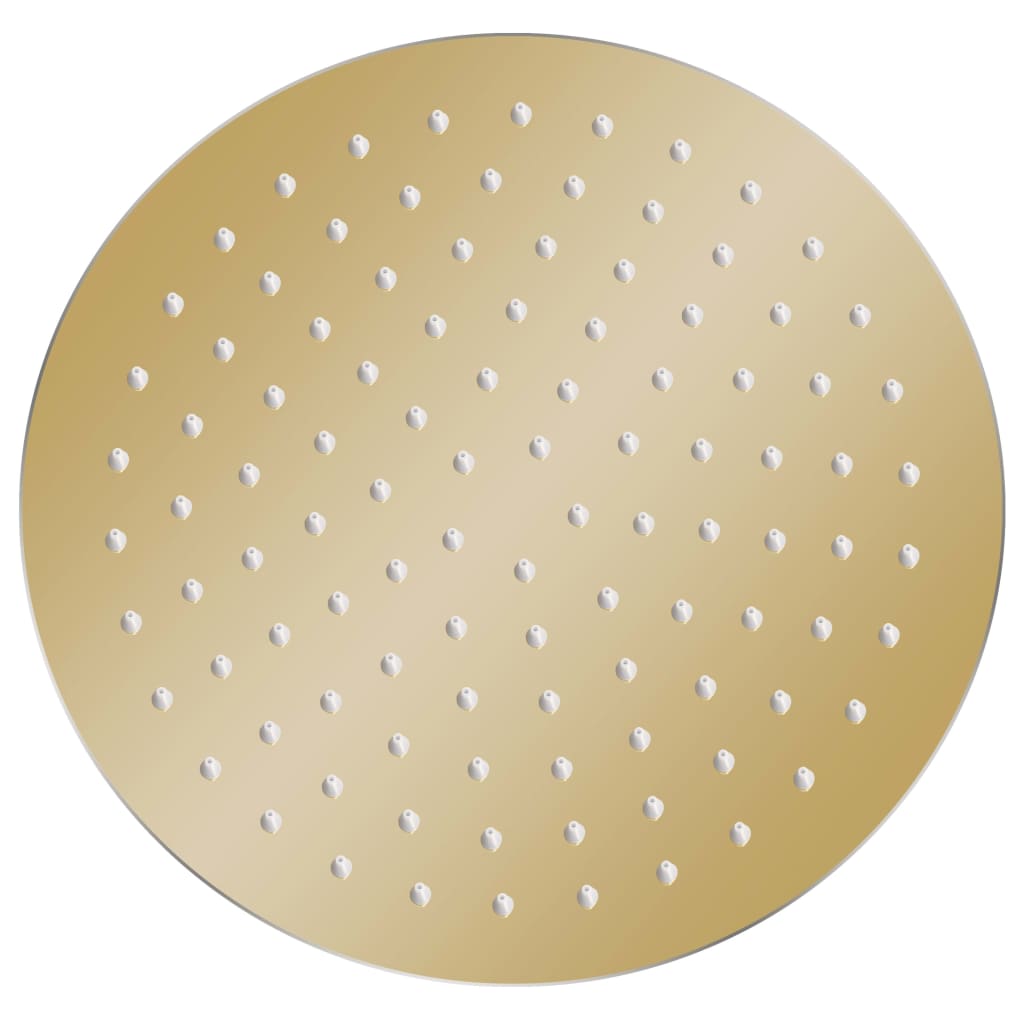 VidaXL Regenduschkopf rund 25 cm Edelstahl goldfarben