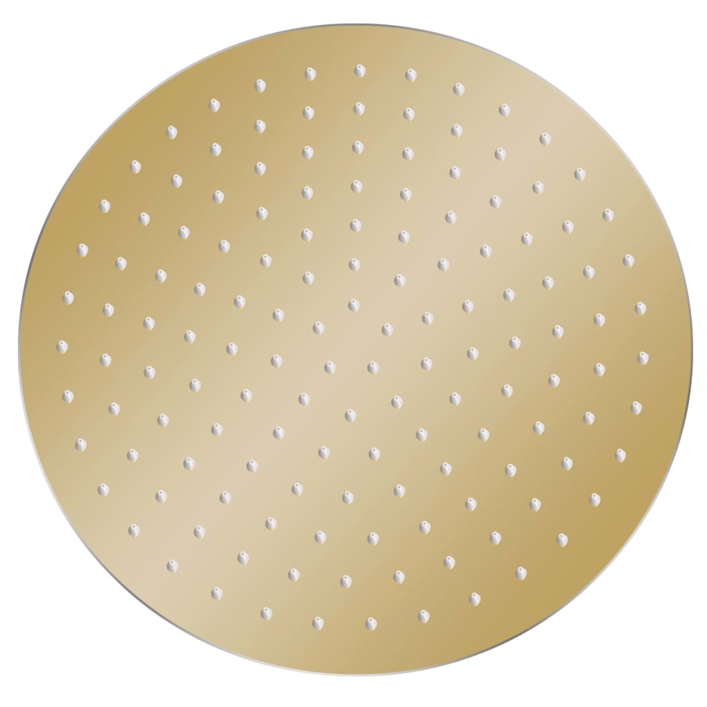 VidaXL Regenduschkopf rund 30 cm Edelstahl goldfarben