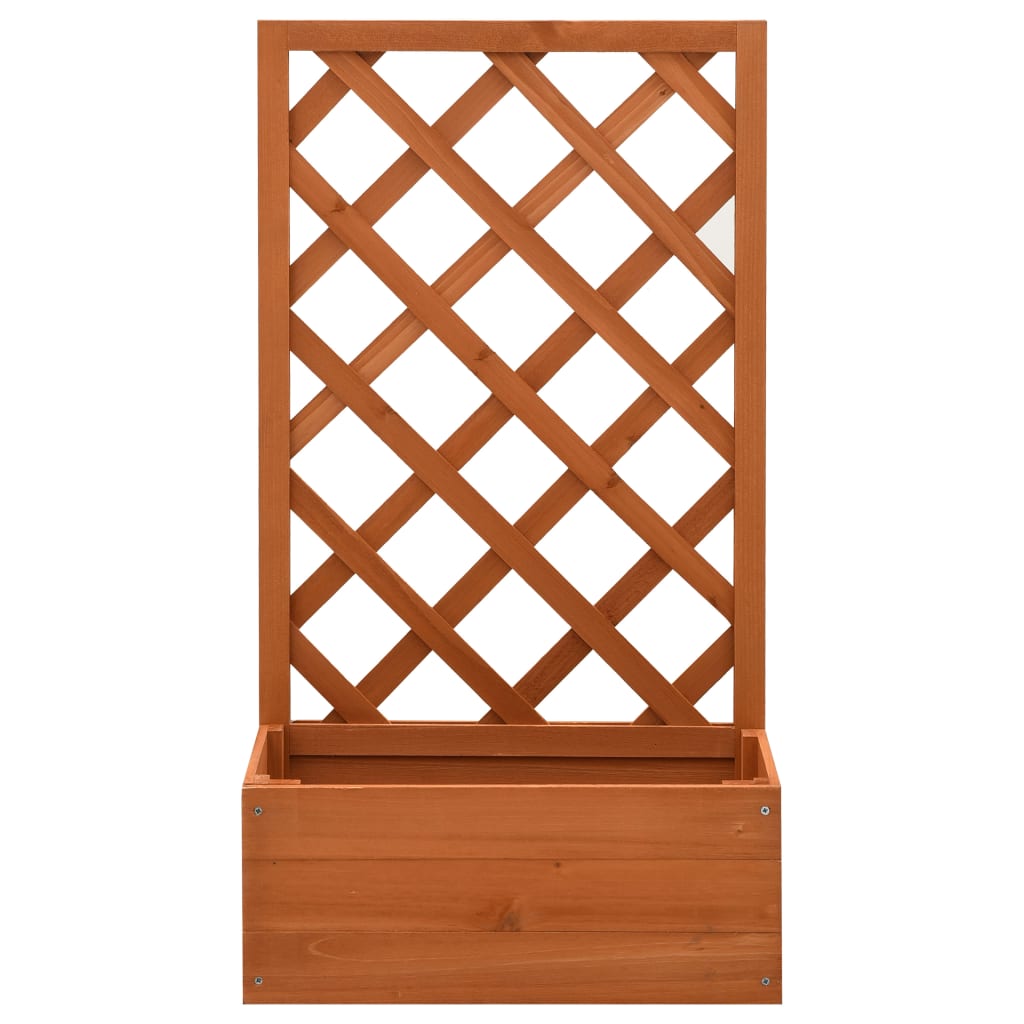 VidaXL Rankgitter-Pflanzkasten 50x25x90 cm Massives Kiefernholz Orange