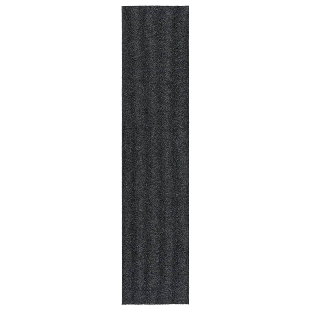 Vidaxx Trockenmatte 100x450 cm anthrazit -gelöscht
