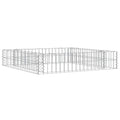 Vidaxl gabion plantenbak verhoogd 100x100x20 cm gegalvaniseerd staal