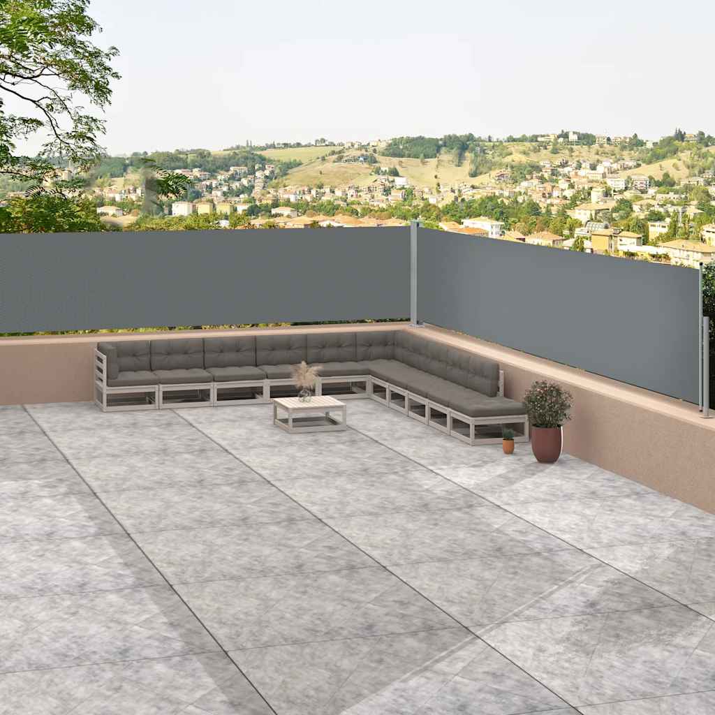 Vidaxl windscherm uittrekbaar 117x1200 cm antracietkleurig