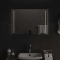 Vidaxl badkamerspiegel led 70x50 cm