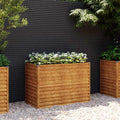Vidaxl verhoogde tuinbak 100x50x69 cm cortenstaal