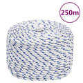 Vidaxl boot touw 8 mm 250 m polypropyleen wit