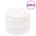 Vidaxl boottouw 12 mm 100 m polypropyleen volwit