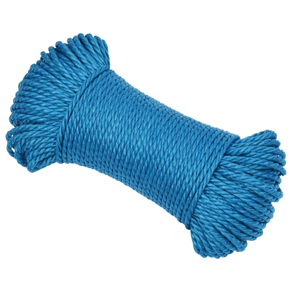 Vidaxl werktouw 3 mm 25 m polypropeen blauw