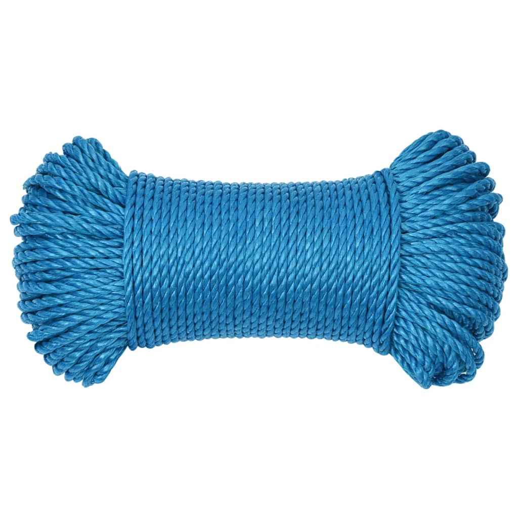 VidaXL Arbeitsseil 3 mm 25 m Polypropylen Blau