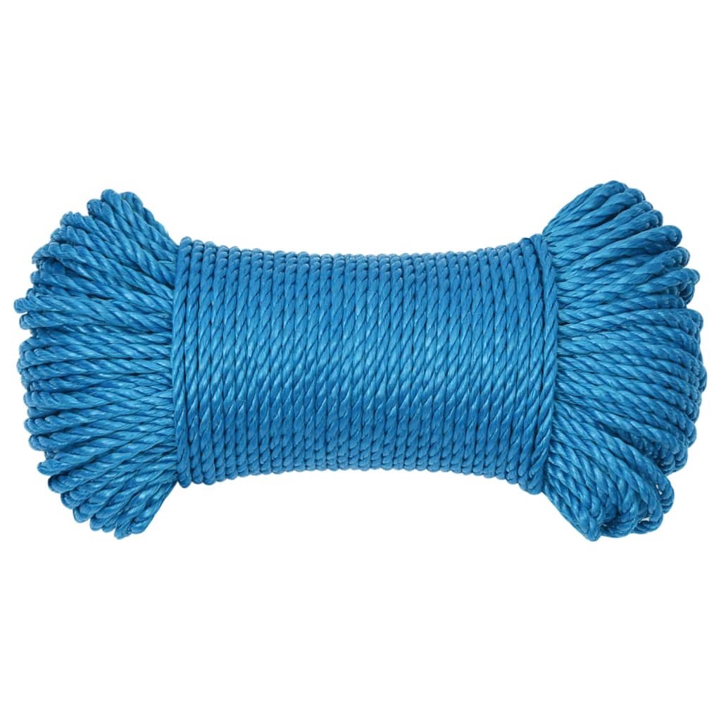 VidaXL Arbeitsseil 3 mm 50 m Polypropylen Blau
