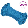 VidaXL Arbeitsseil 3 mm 100 m Polypropylen Blau