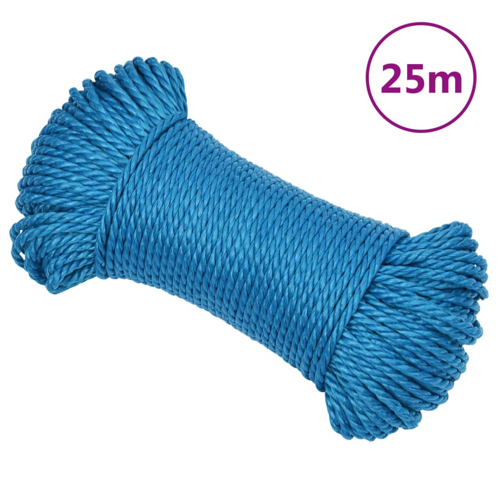 VidaXL Arbeitsseil 8 mm 25 m Polypropylen Blau