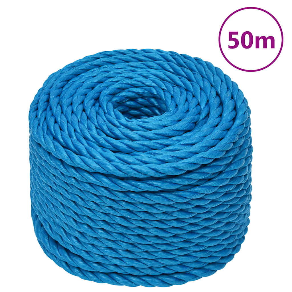 VidaXL Arbeitsseil 10 mm 50 m Polypropylen Blau