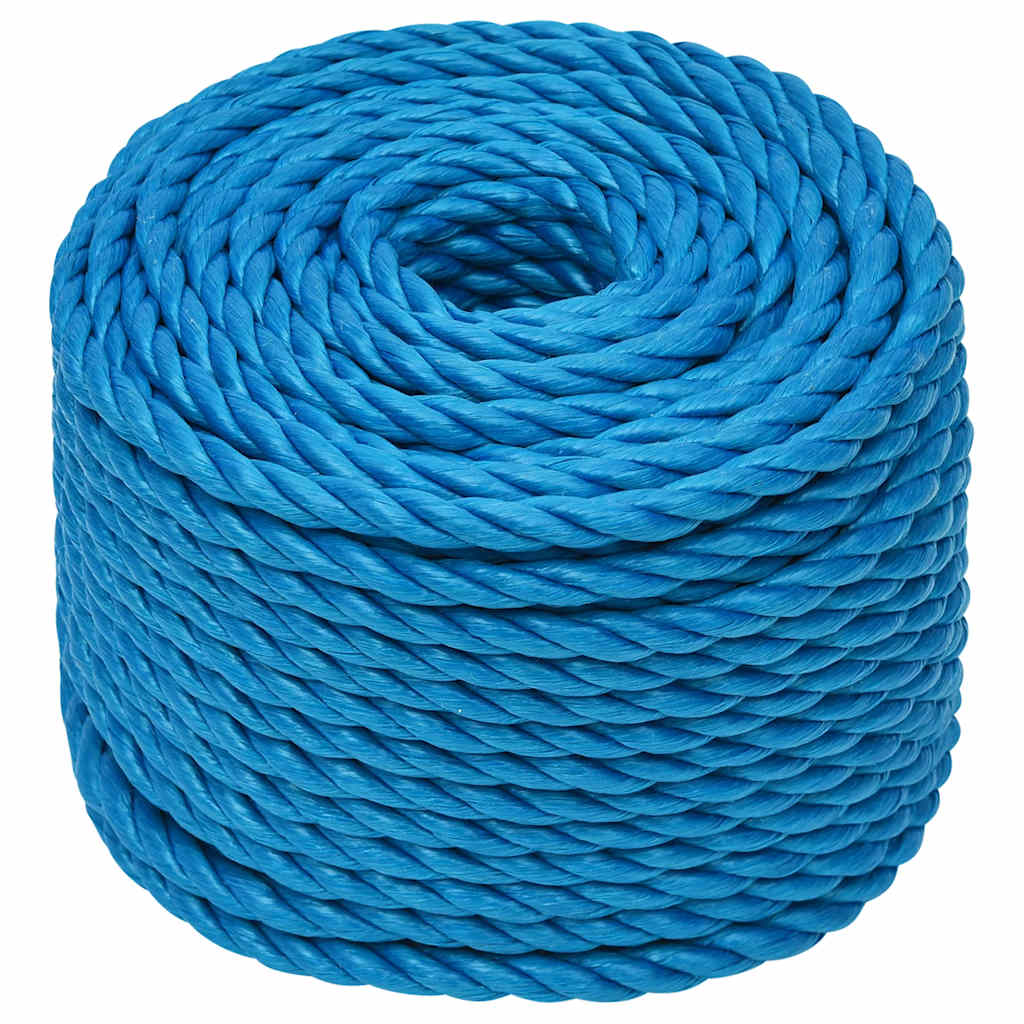 VidaXL Arbeitsseil 10 mm 50 m Polypropylen Blau