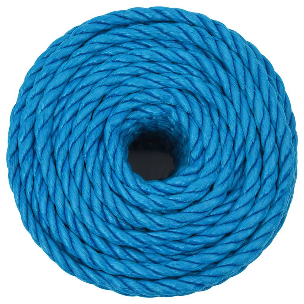 VidaXL Arbeitsseil 10 mm 50 m Polypropylen Blau
