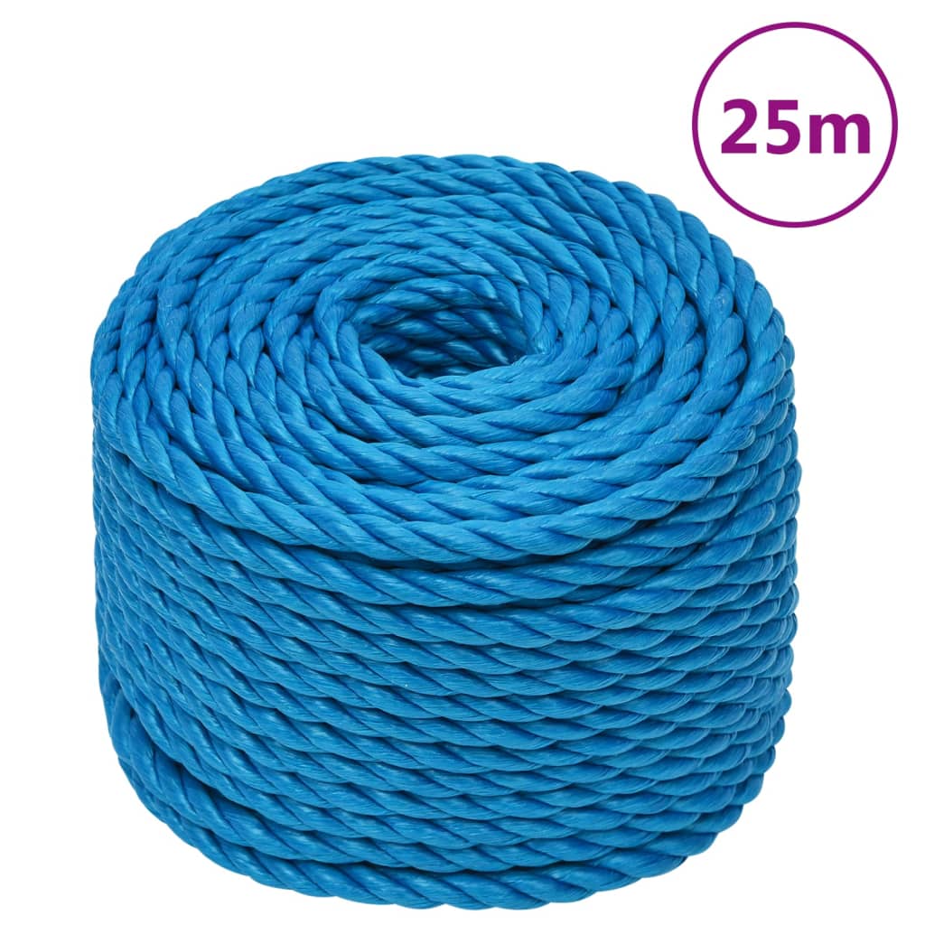 VidaXL Arbeitsseil 12 mm 25 m Polypropylen Blau
