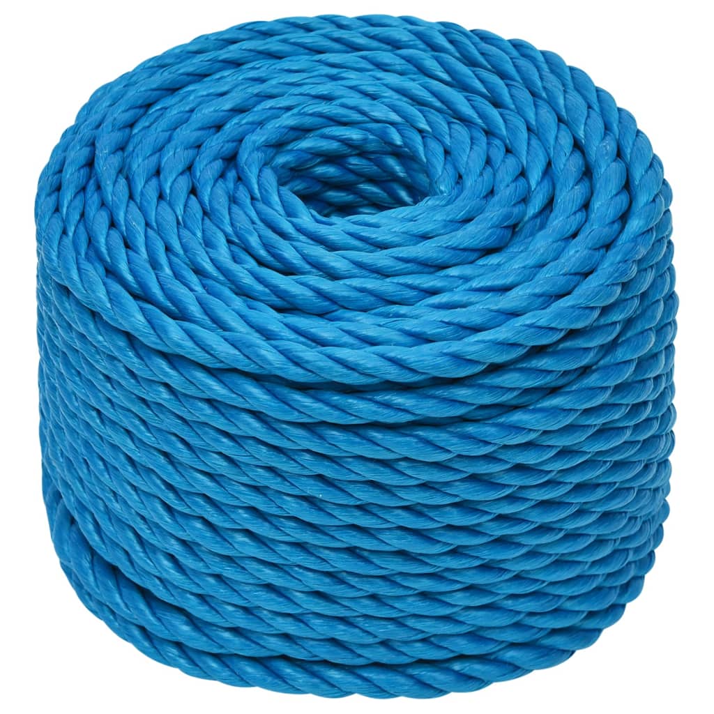 VidaXL Arbeitsseil 12 mm 25 m Polypropylen Blau