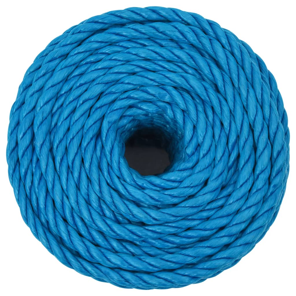 VidaXL Arbeitsseil 12 mm 25 m Polypropylen Blau