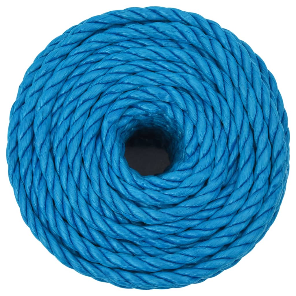 VidaXL Arbeitsseil 14 mm 25 m Polypropylen Blau
