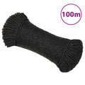VidaXL Arbeitsseil 6 mm 100 m Polypropylen Schwarz