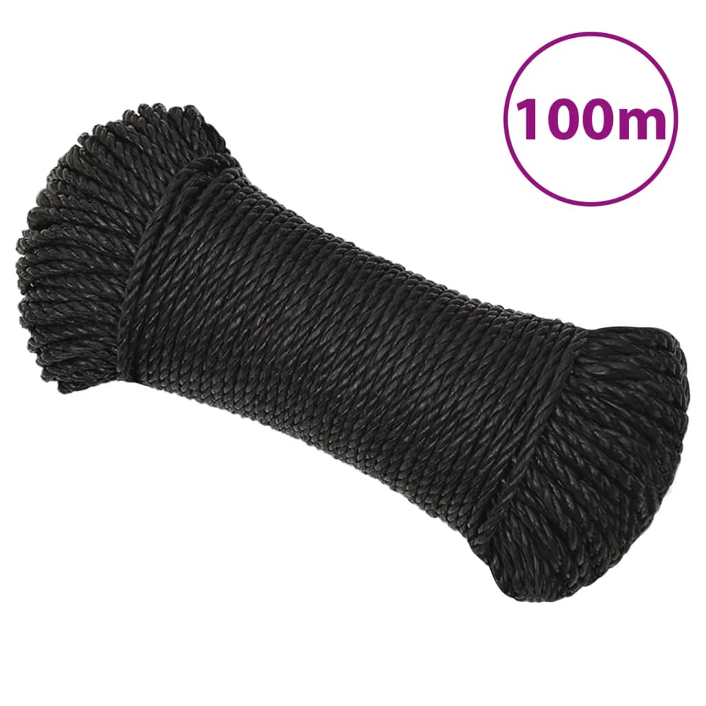 VidaXL Arbeitsseil 6 mm 100 m Polypropylen Schwarz
