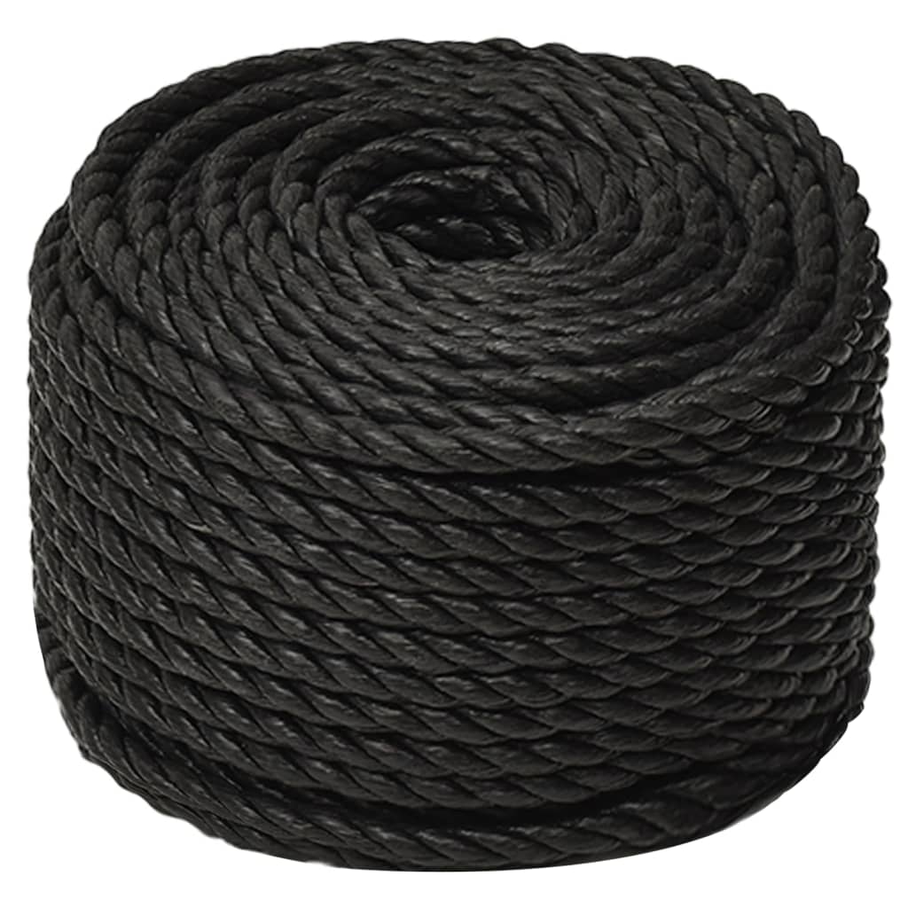 Vidaxxl Arbeitsschlauch 10 mm 250 m Polypropylen schwarz