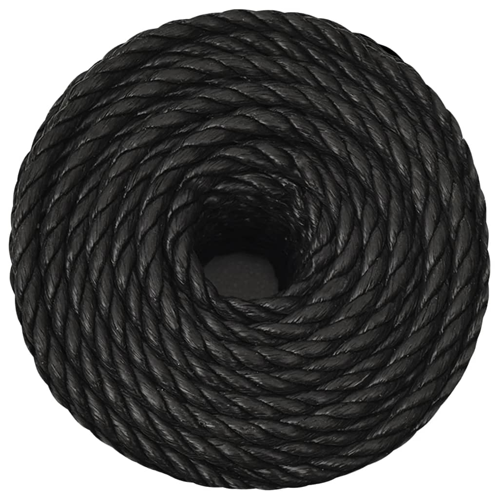 Vidaxxl Arbeitsschlauch 10 mm 250 m Polypropylen schwarz