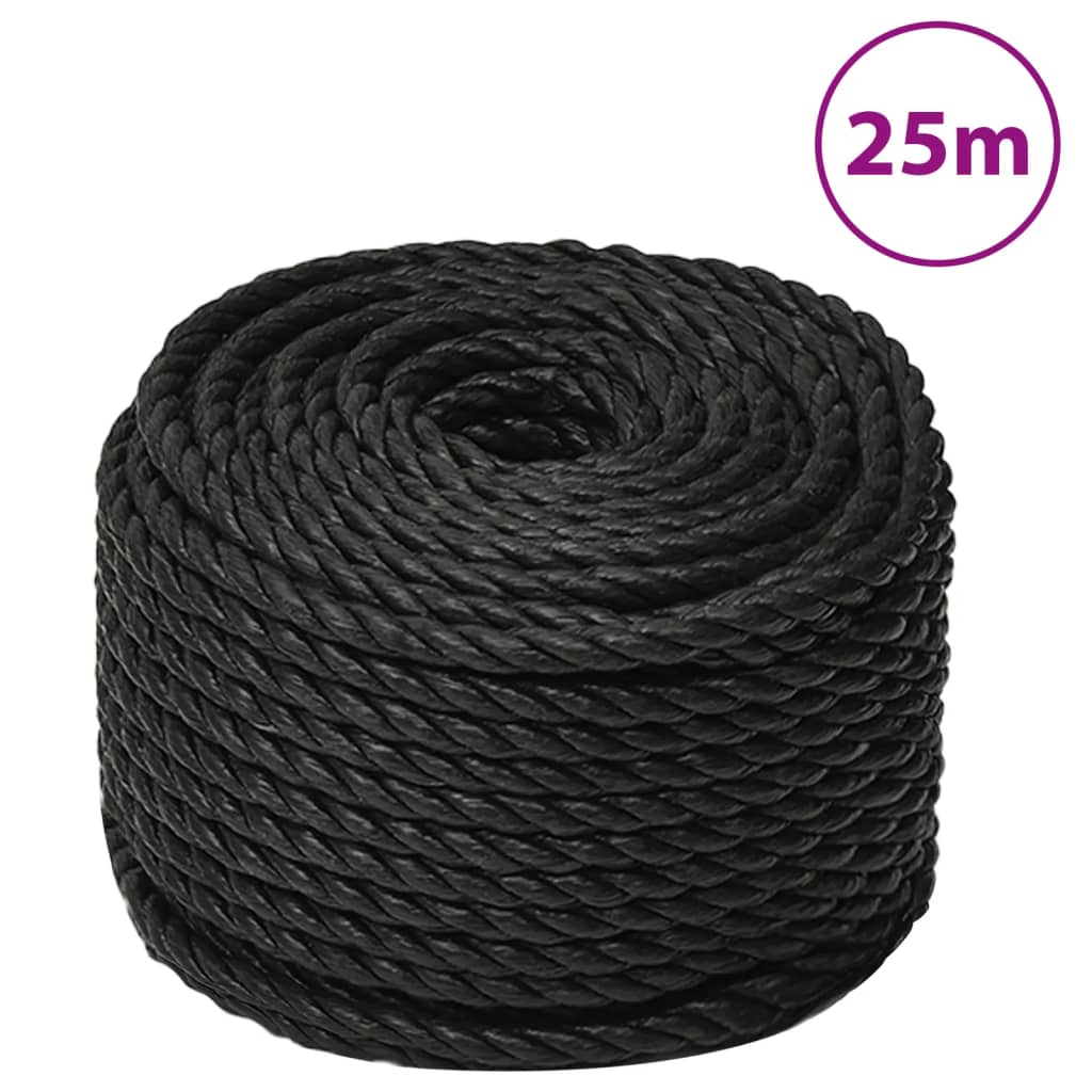 VidaXL Arbeitsseil 12 mm 25 m Polypropylen Schwarz