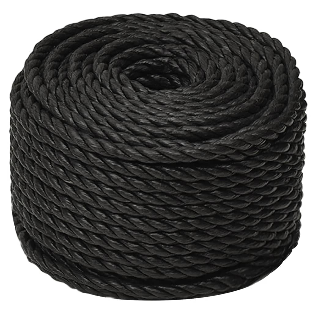 VidaXL Arbeitsseil 12 mm 25 m Polypropylen Schwarz