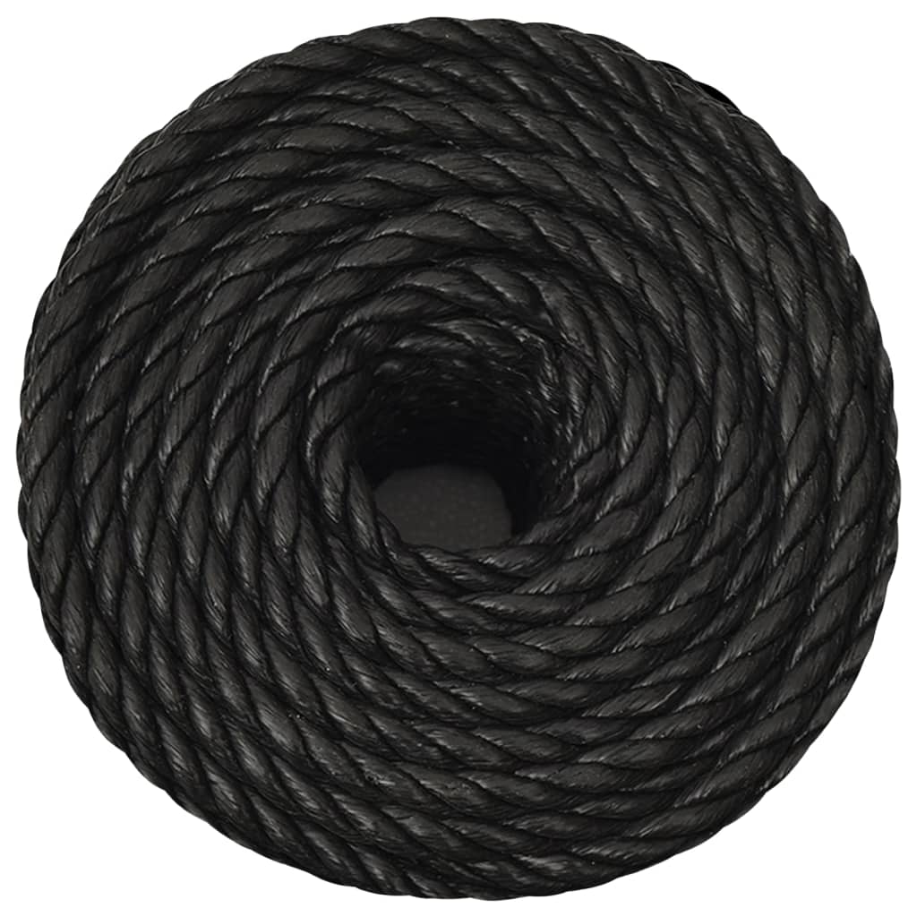 VidaXL Arbeitsseil 12 mm 25 m Polypropylen Schwarz