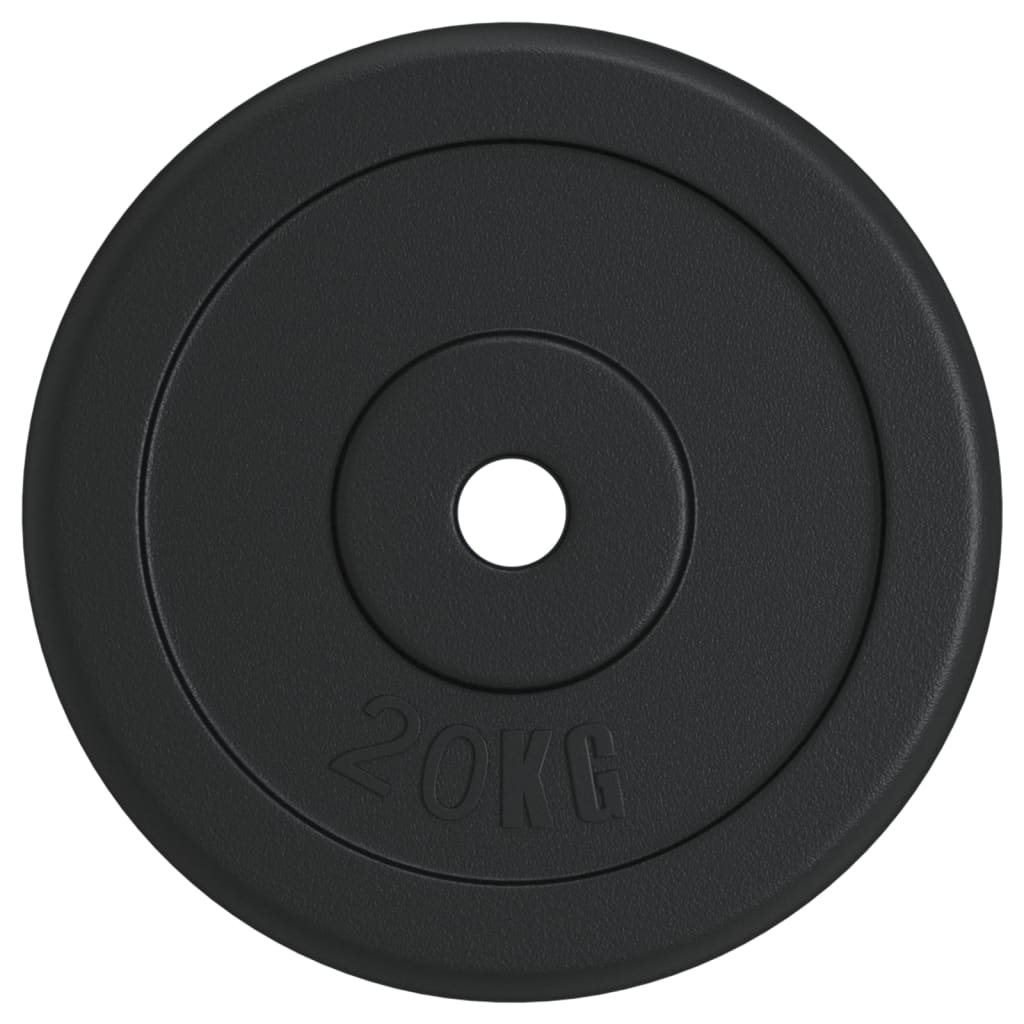 VIDAXL -Halberscheibe 20 kg Gusseisen