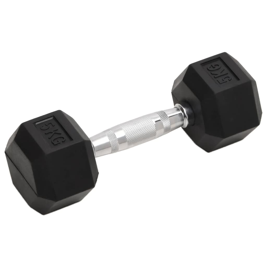 Vidaxl halters 2 st 10 kg totaal gietijzer
