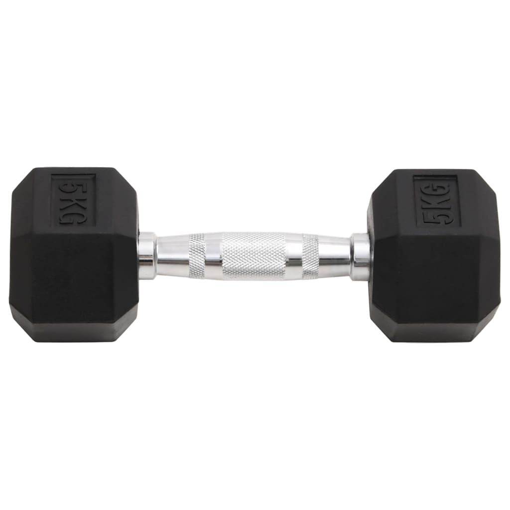 Vidaxl halters 2 st 10 kg totaal gietijzer