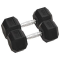 Vidaxl halters 2 st 20 kg totaal gietijzer
