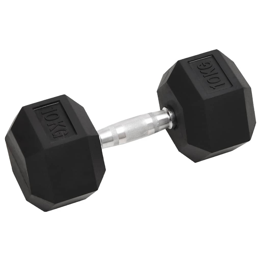 Vidaxl halters 2 st 20 kg totaal gietijzer