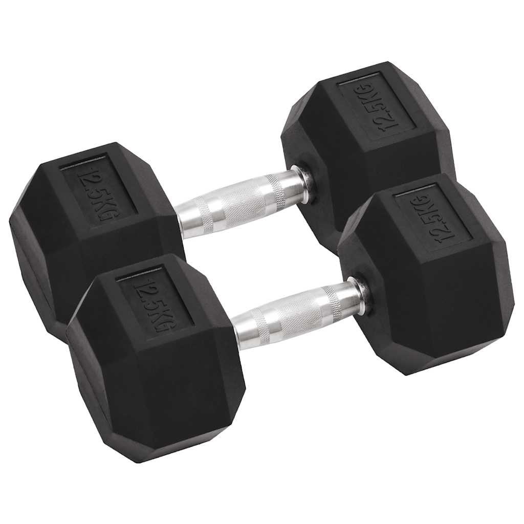 Vidaxl halters 2 st 12,5 kg totaal gietijzer