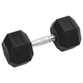Vidaxl halters 17,5 kg gietijzer