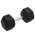Vidaxl halters 22,5 kg gietijzer