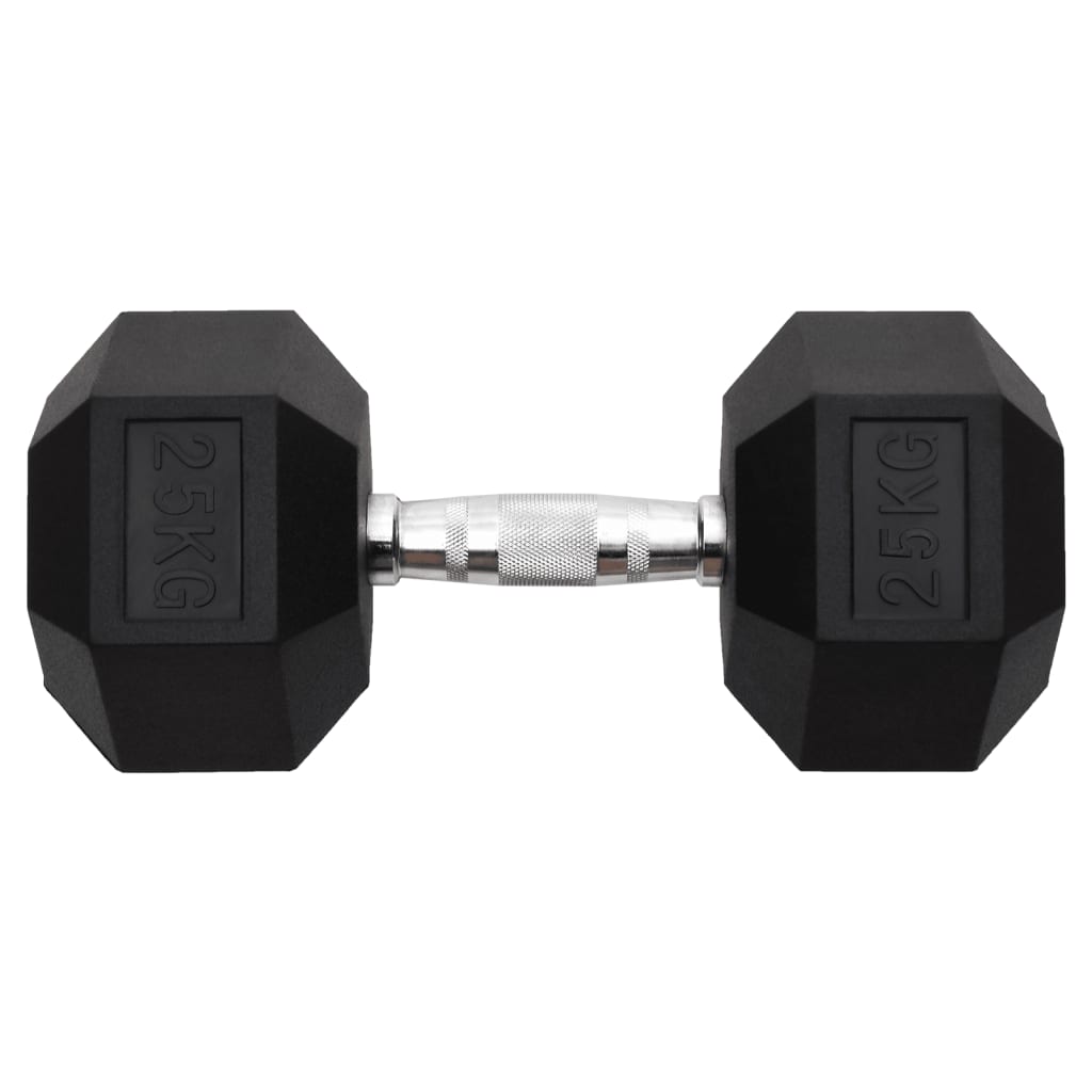 Vidaxl halters 25 kg gietijzer