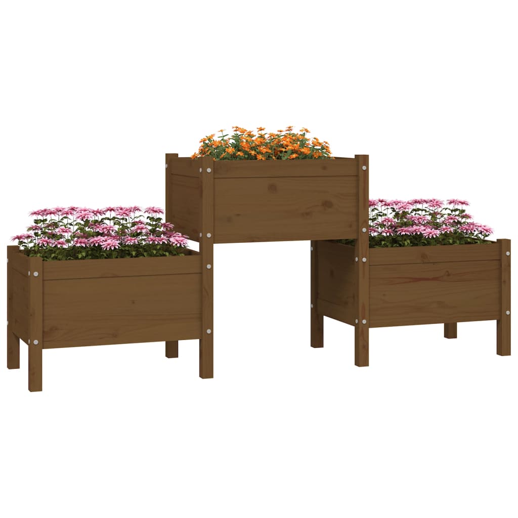 VIDAXL -Planungsbox 178,5x44x75 cm Festkiefer Honigbraun