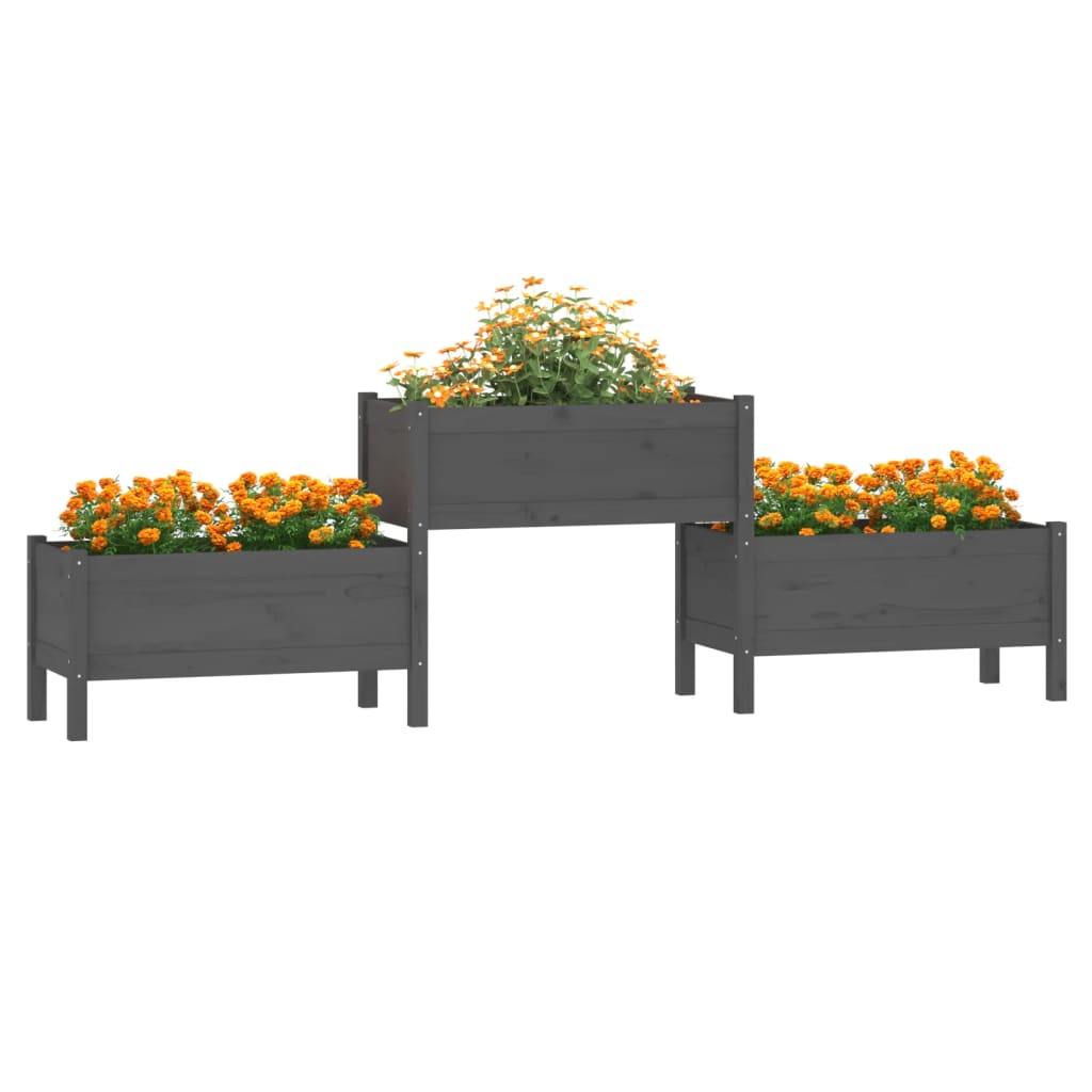 VIDAXL -Planungsbox 245,5x44x75 cm Festkiefergrau