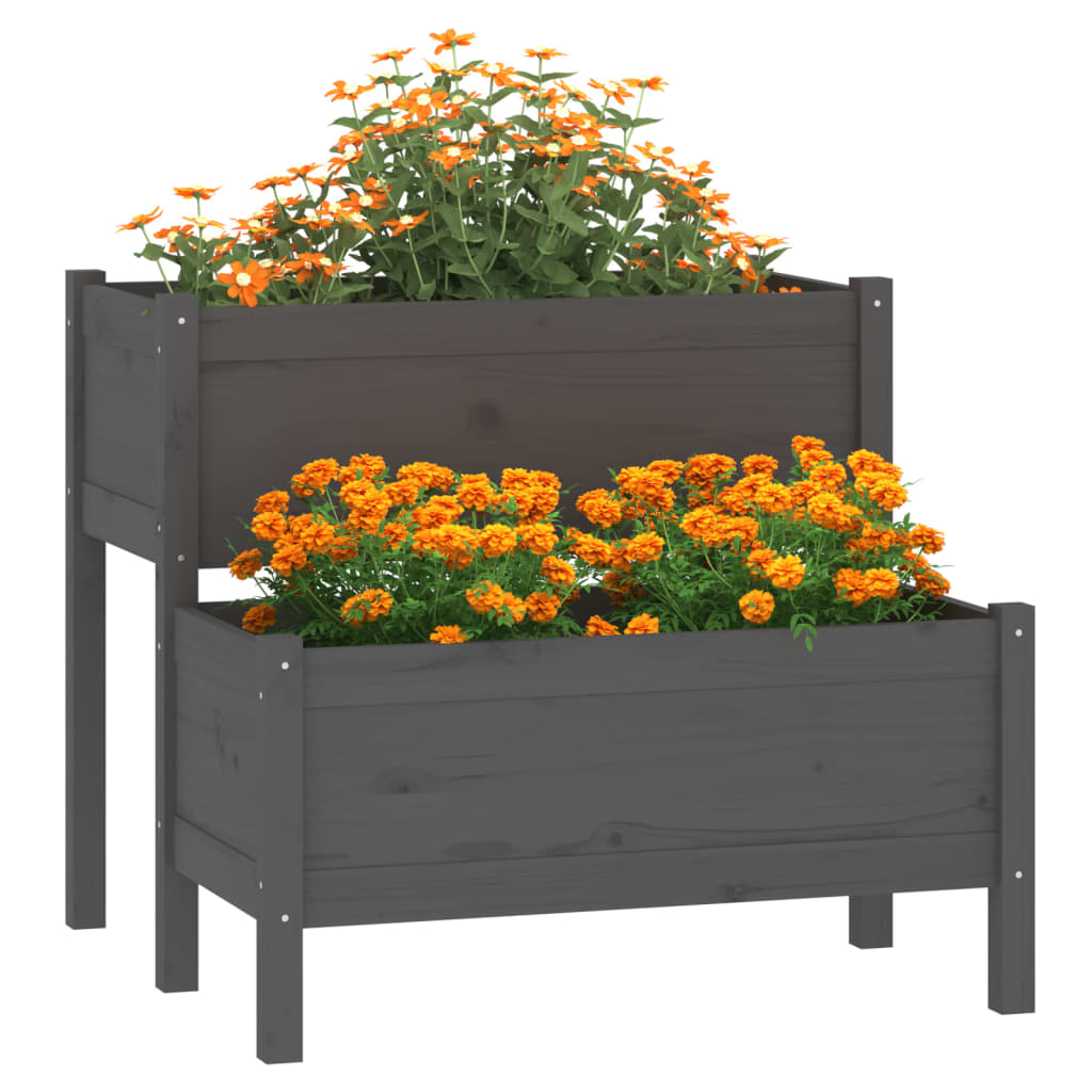 VIDAXL -Planungsbox 84,5x84x75 cm Festkiefergrau