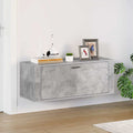 Vidaxx Wandschuhschrank 100x35x38 cm verarbeiteter Holzbetonpreis