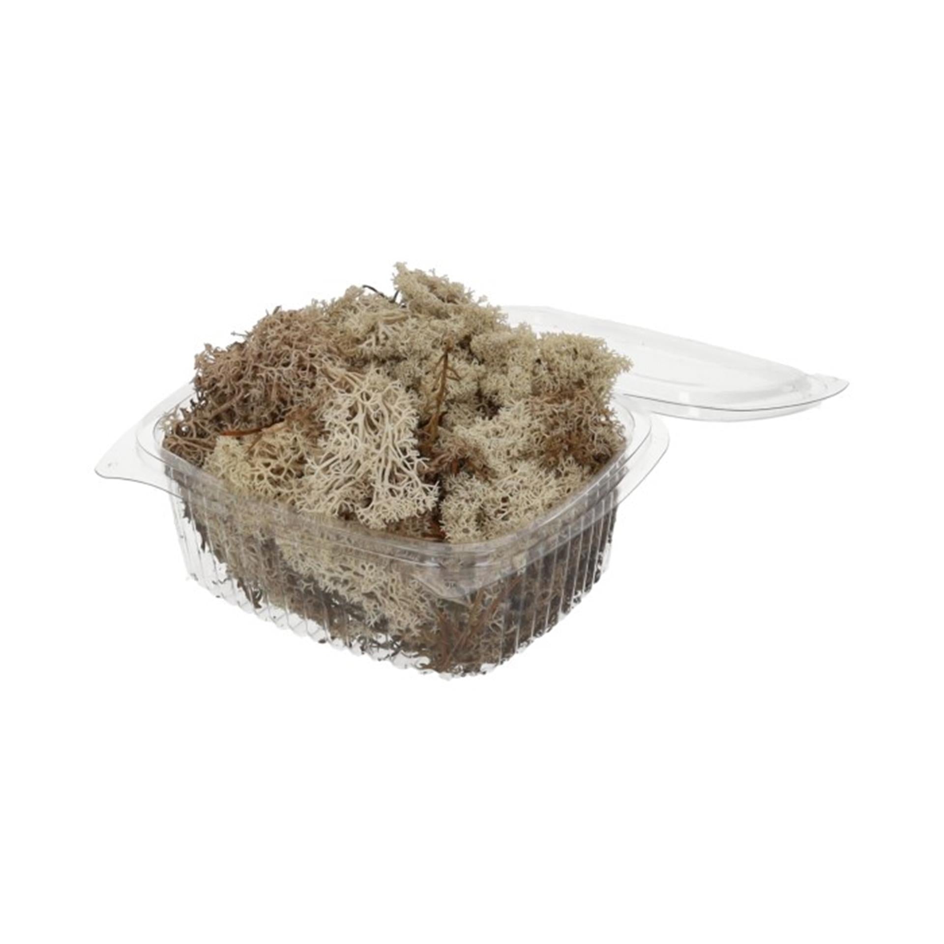 Hbx natural living rendiermos 50gr wit