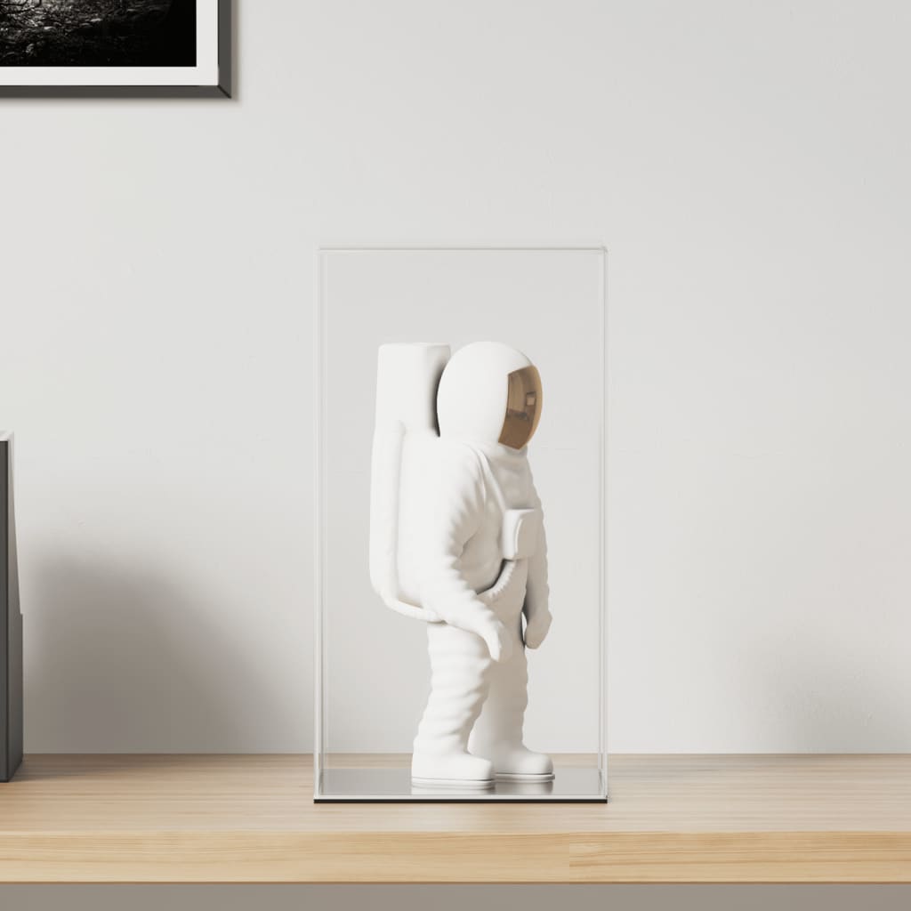 VidaXL Vitrine, transparent, 20 x 20 x 38 cm, Acryl