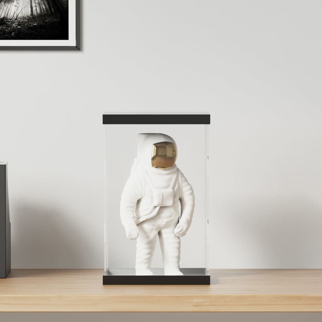 VidaXL Vitrine, transparent, 22 x 18 x 35 cm, Acryl